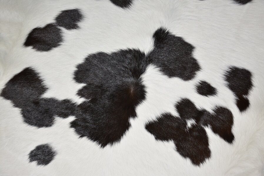 牛皮黑白白花奶牛整张小牛皮料l86客厅茶几地毯