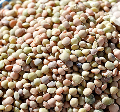 500克 必须过滤昭通凉粉金豌豆面面小豌豆粉滨豆凉粉原料12.9元 - 爱