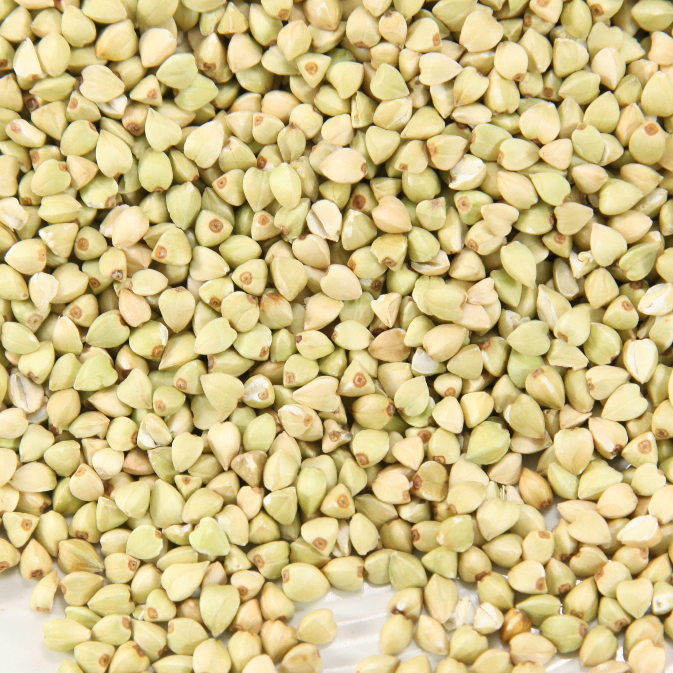 新货荞麦米三角麦农家自产杂粮天然乔麦米纯荞麦仁粒散装500g5斤