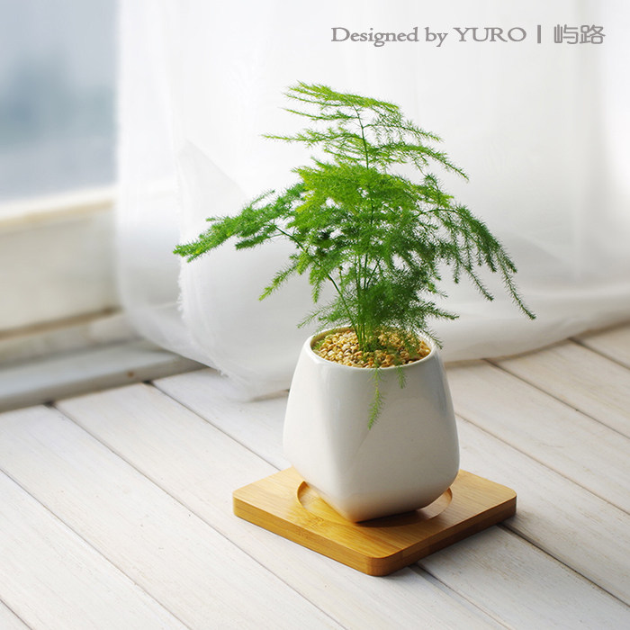 屿路绿植盆栽绿萝花卉植物桌面迷你花盆净化空气微景观满3件包邮