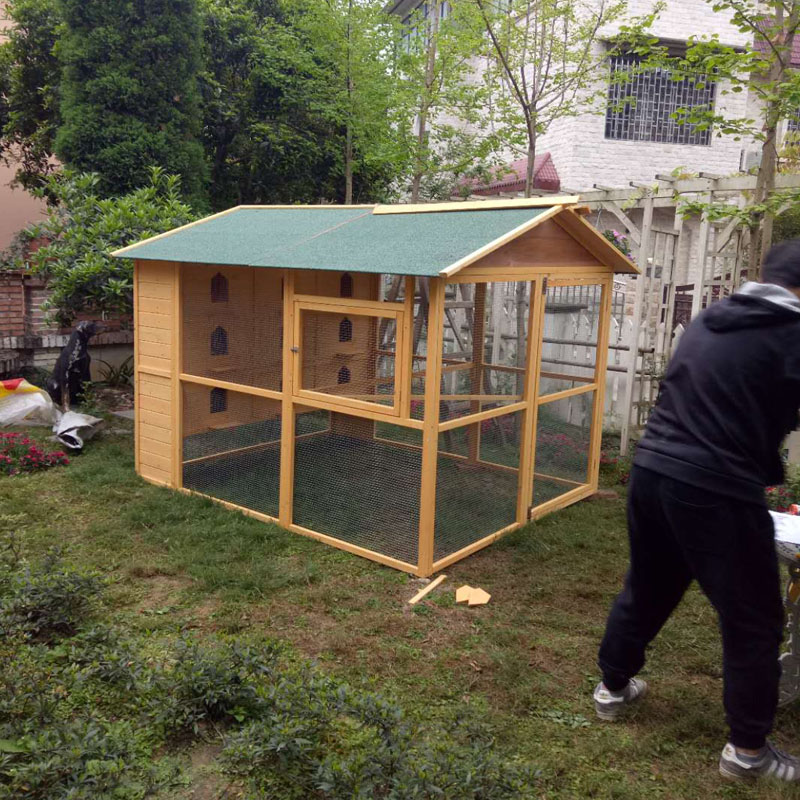 屋檐下鸽子窝搭建图图片