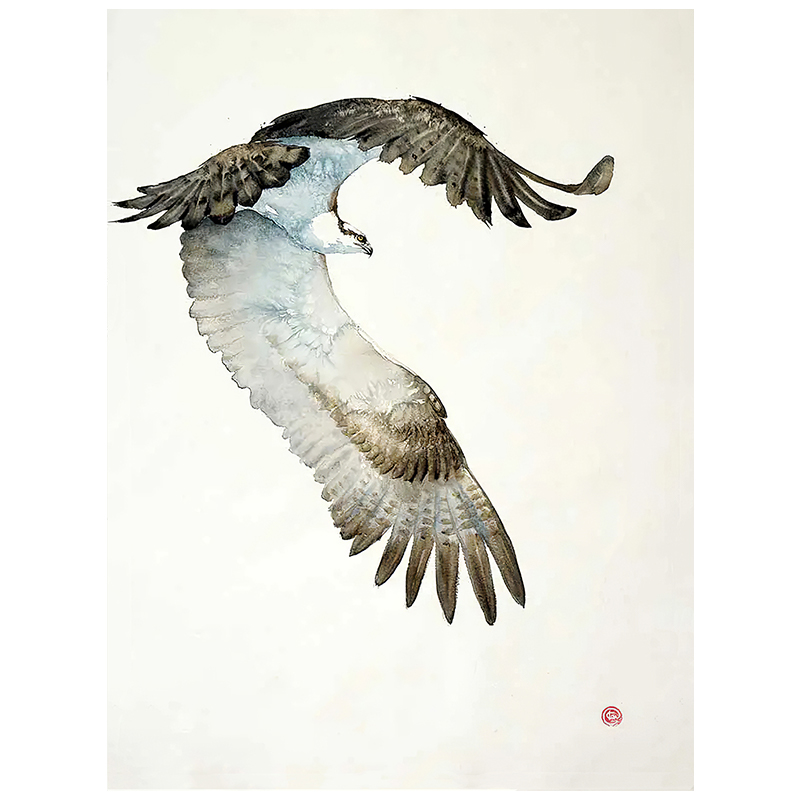 现代简约矛隼白隼海东青水墨老鹰猛禽客厅房间挂画现代装饰画