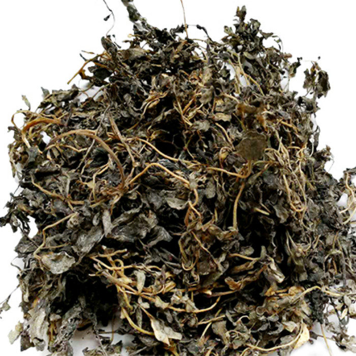 新鲜马齿苋干马齿菜干马蜂菜干马榨菜包子饺子馅土特产一份250克