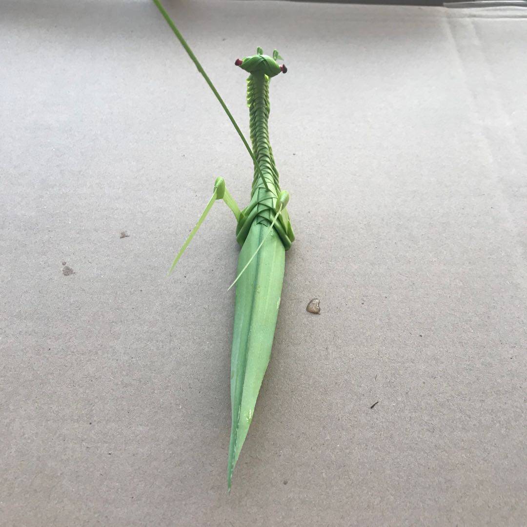 棕编草编动物螳螂新鲜拍摄道具电影电影电视电视剧白族草编工艺