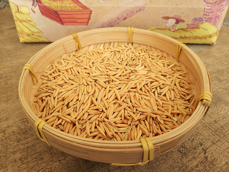 象牙香米5kg江西丝苗米农家家米10斤香粘抛光大米