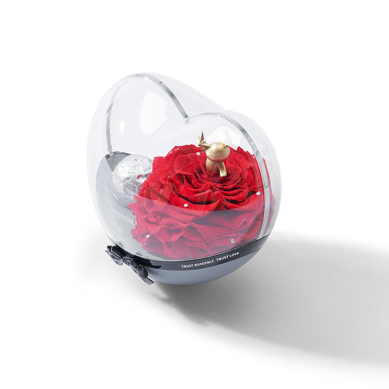 礼盒roseonly玫瑰星球甜心不倒翁永生玫瑰花永生花