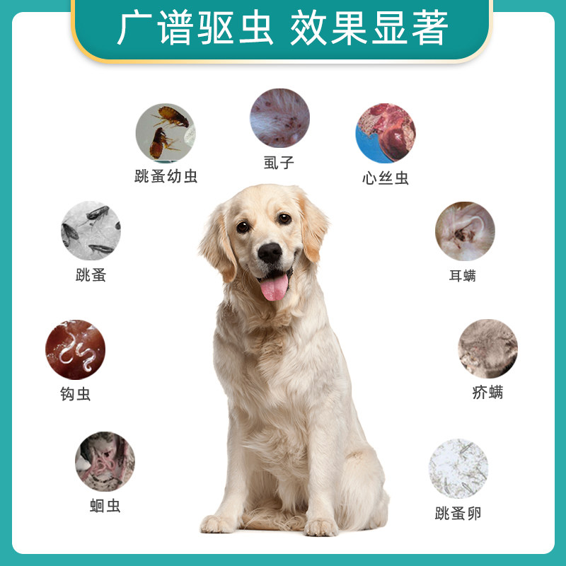 驱虫体内大宠爱2040kg犬用狗狗金毛内外虫药体外猫驱虫药
