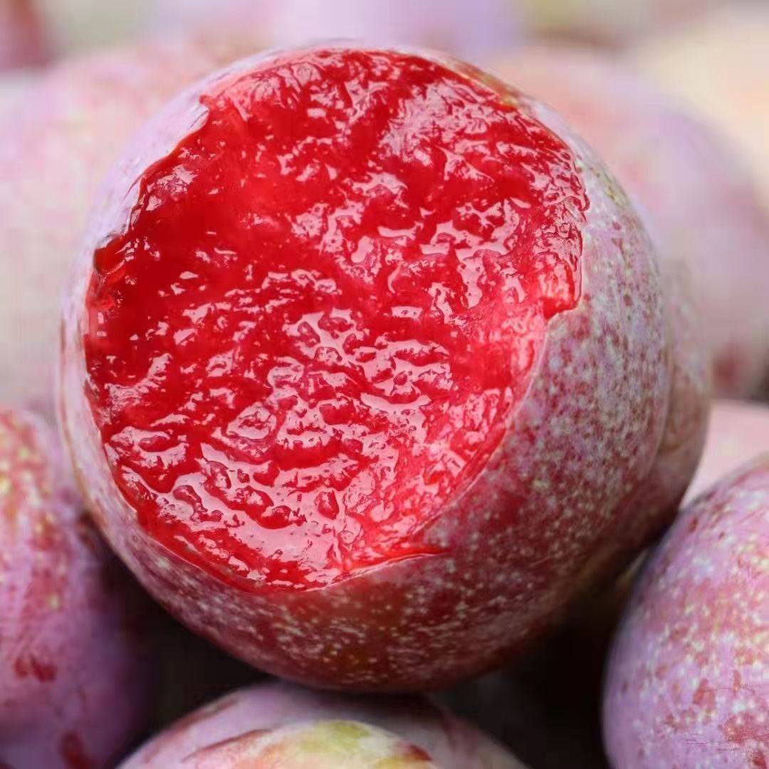 顺丰酸甜现货新鲜林大黑布林黑布水果红心孕妇李子