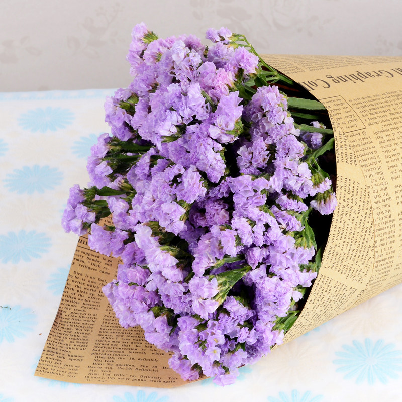 云南勿忘我干花花束家居摆设清新客厅干花