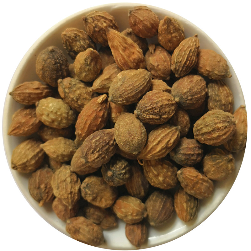 益智海南仁小砂仁特级仁茶500克250g包邮调香料花椒