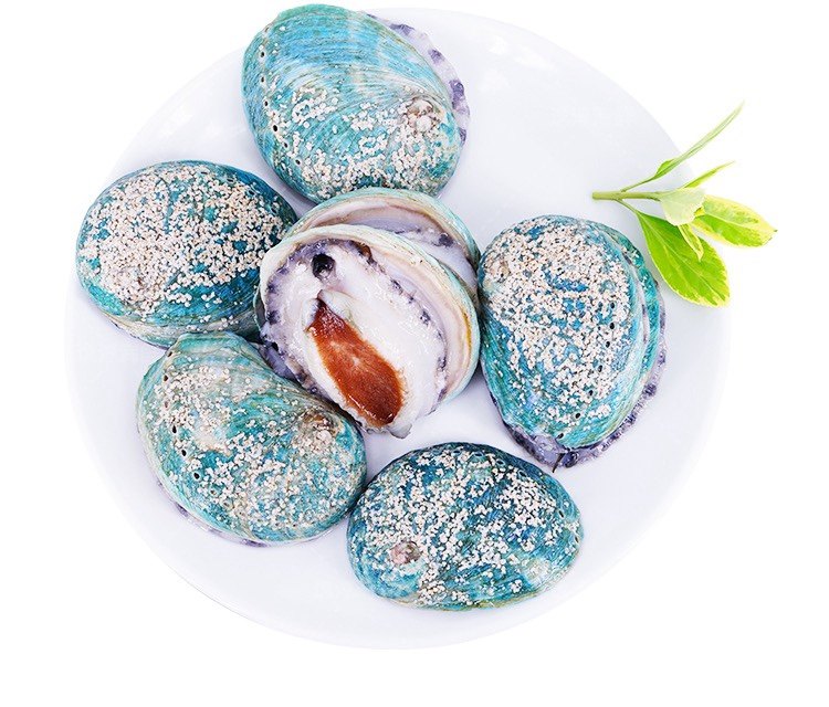 鲍鱼上海闪送新西兰野生蓝鲍鱼刺鲜活新鲜500g鲍鱼