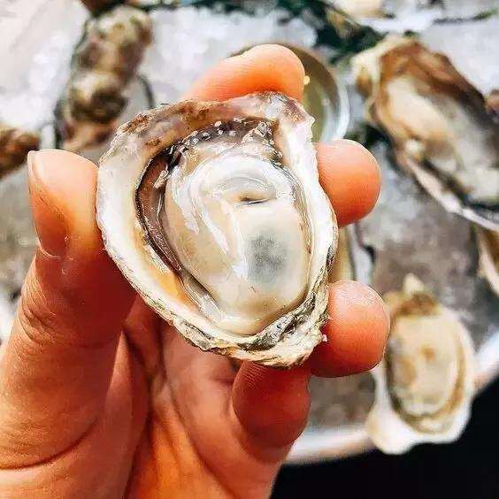 美国牡蛎上海海鲜即食生蚝特级鲜活新鲜熊本生生蚝