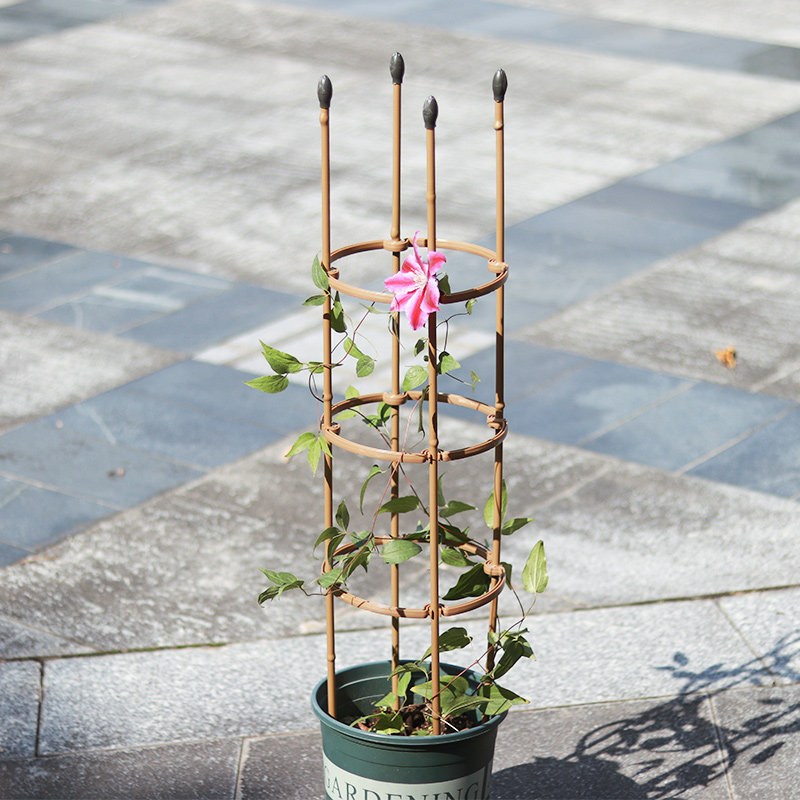 爬藤藤架铁艺花架植物支架竹子包塑钢管支撑花架