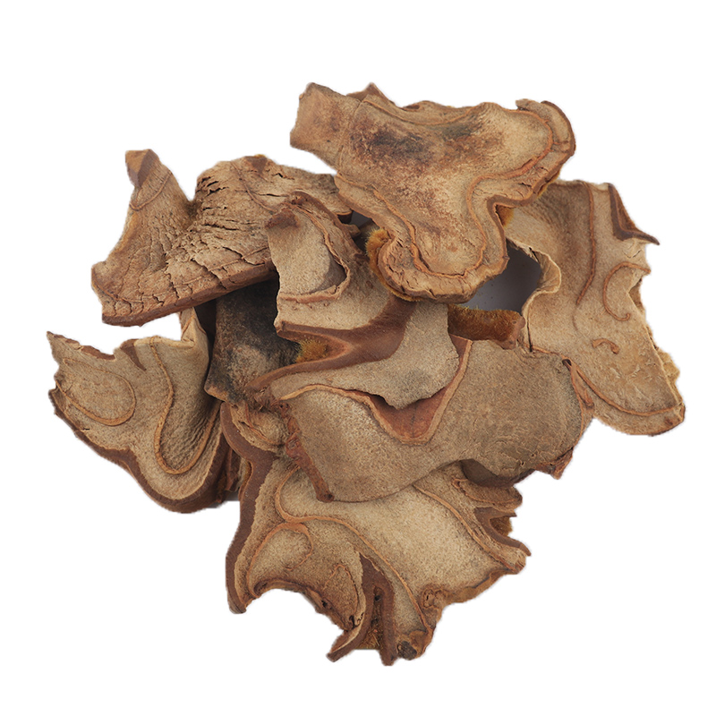 中药材 狗脊 金毛狗脊 野生 补 强腰膝 500克包邮