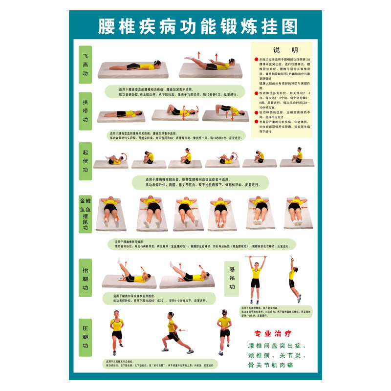 挂图医学养生骨科腰椎疾病功能锻炼挂图腰椎疾病功能锻炼pvc写真