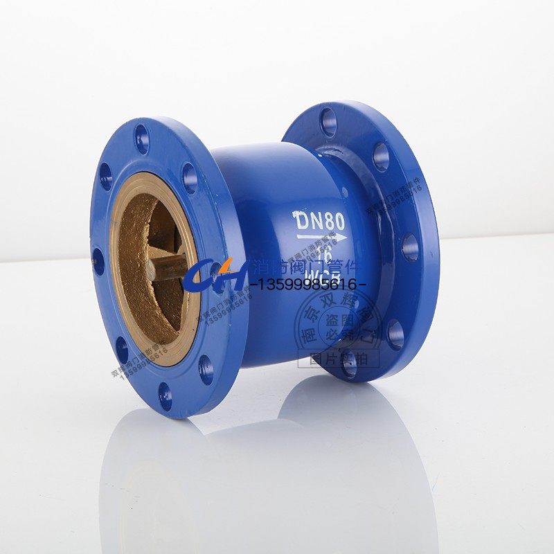 止回阀消声hc41x法兰钢体dn100立式单向阀铸铁弹簧单向阀