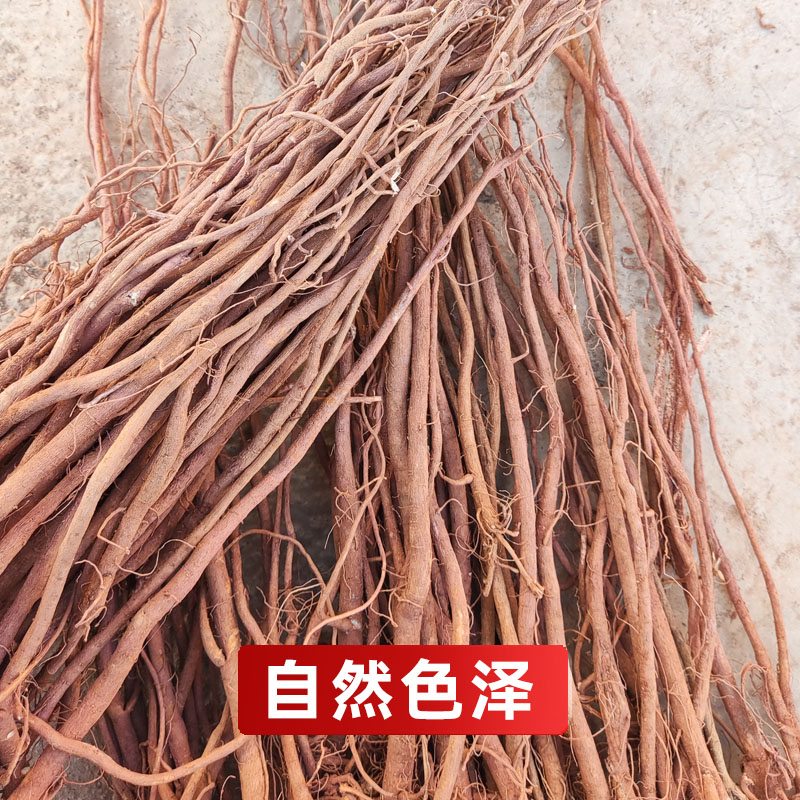 野生中药材千斤千金一条根吊马桩金牛尾牛尾500g包邮其他药食同源食品