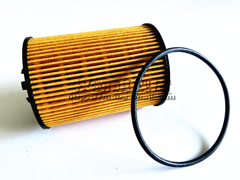 适配江淮瑞鹰黄海旗胜v3东风风行菱智柴油车1.9t机油滤芯