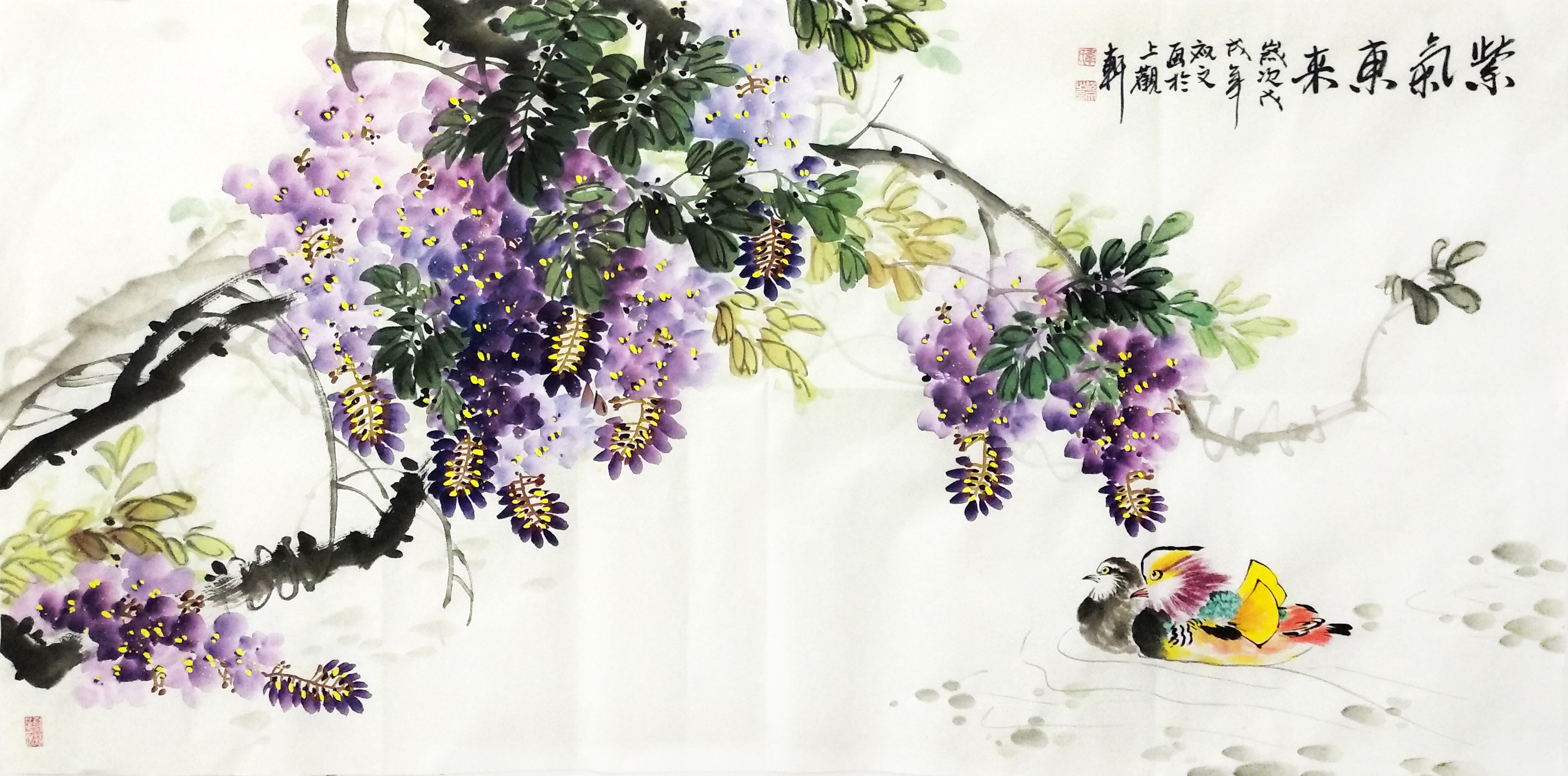 嘻戏鸳鸯紫藤横幅四尺手绘字画装饰餐厅水墨画国画