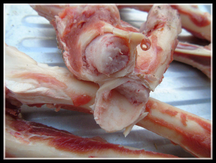 新鲜羊腿骨 羊大骨 带骨髓 羊棒骨 羊筒骨可切割代风干