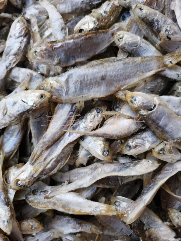 烟台特产海鱼干黄扣小黄鱼辣椒干鱼咸鱼小时候鱼干