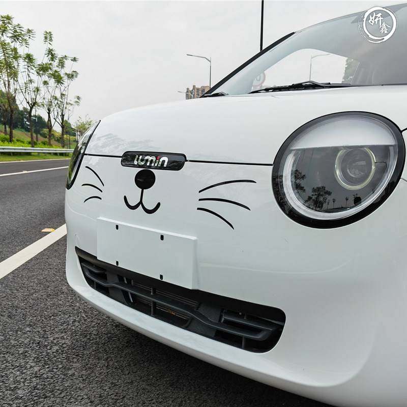 长安lumin玉米车贴车头中网猫胡子贴纸个性改装汽车装饰贴