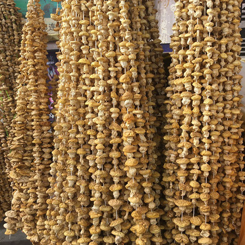 青海祁连野生小黄菇80g特产雪山新鲜黄蘑菇干货祁连山煲汤钉子菇