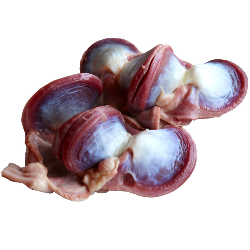 鹅肫古井恒益广东新鲜马岗鹅鹅肉鹅珍鹅肾当天鹅肉