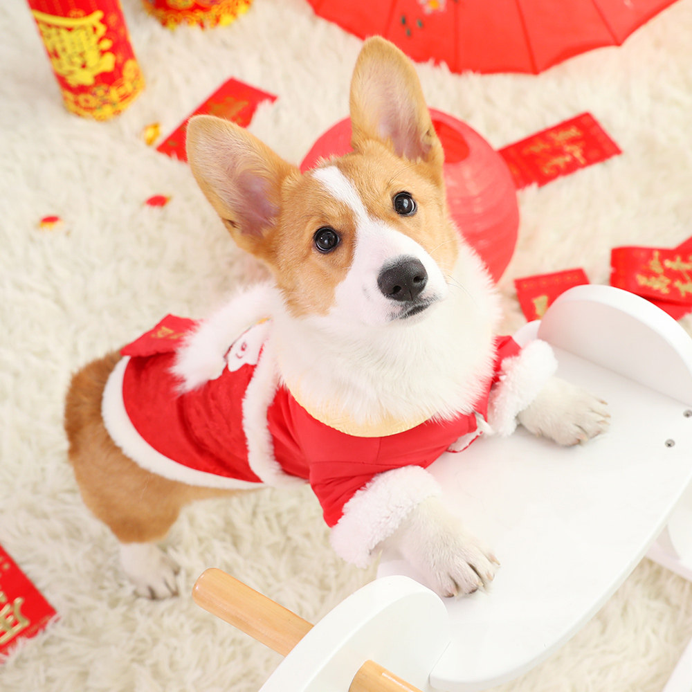 柯基衣服冬季狗狗过年喜庆中型犬幼犬宠物的加绒加厚冬装新年唐装