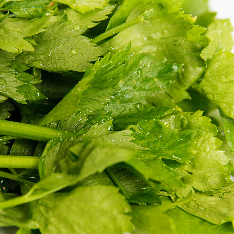 泰生农场有机黄心芹菜250g mahota农产品新鲜蔬菜江浙沪同城配送