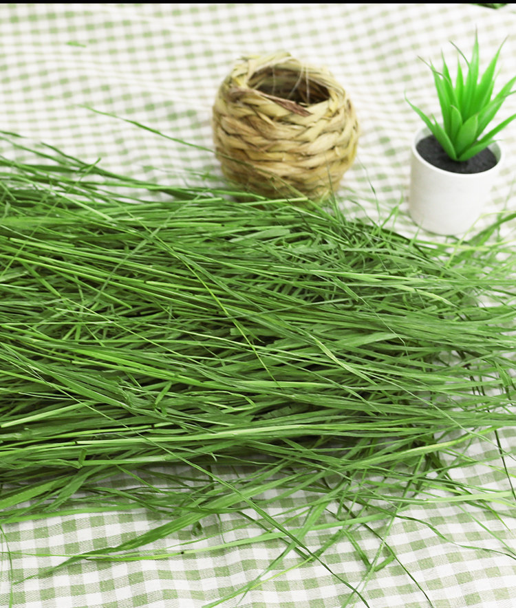 2019干草草粮龙猫豚鼠饲料荷兰提草烘烤新烘干兔兔干草