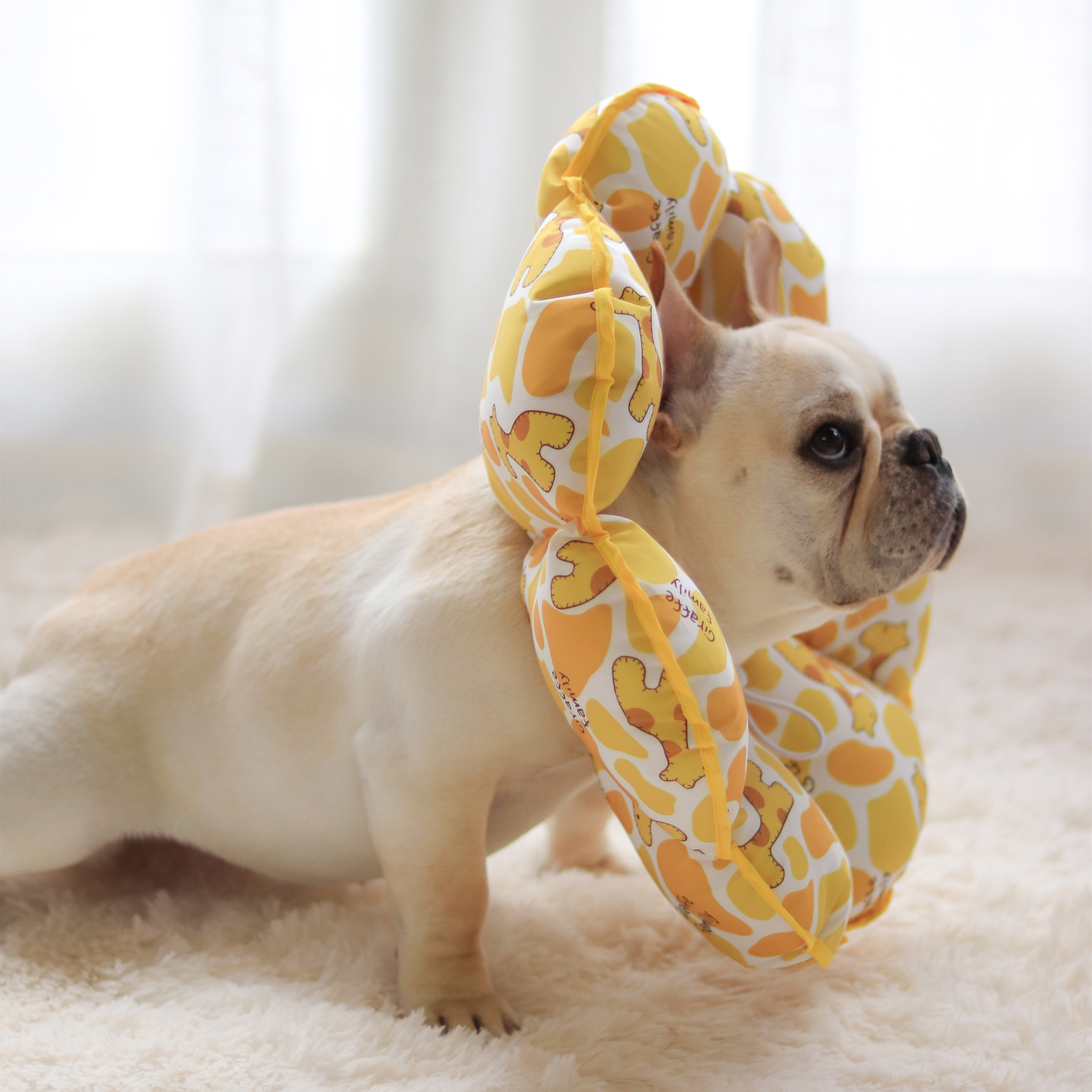 伊丽莎白狗狗项圈法斗脖套防舔防咬狗圈英斗柯基项圈