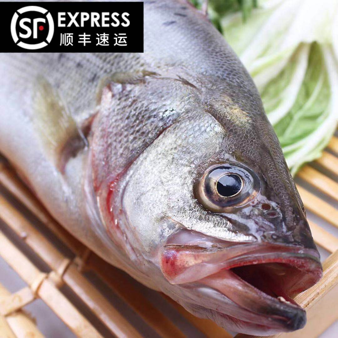 鲈鱼新鲜海鲜野生七星速冻真空真空包包装4斤其它