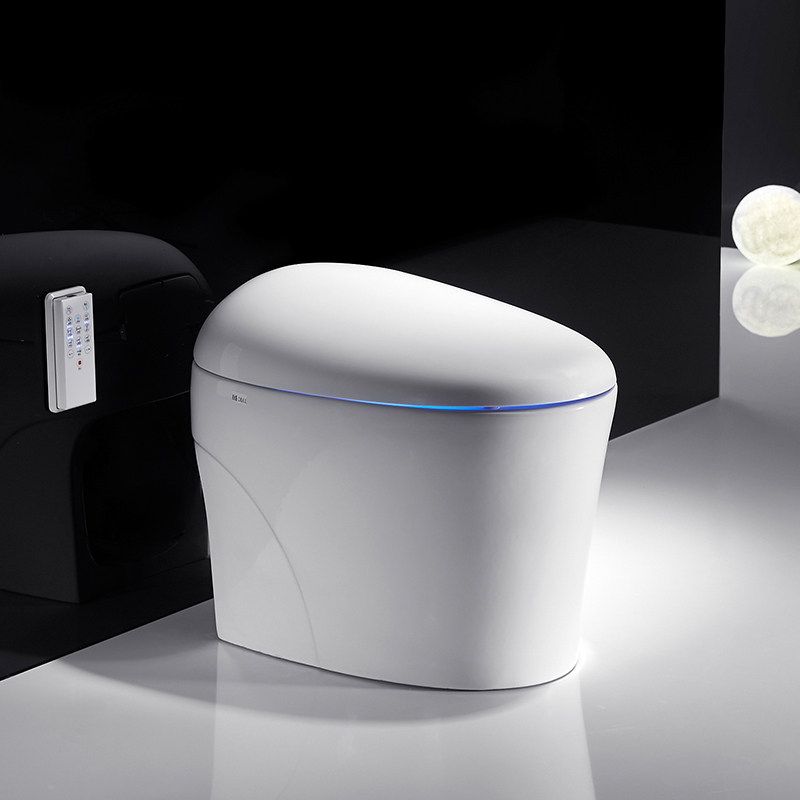 德莱尼智能马桶dln3100怎么样必须了解的几点,谨防盲目选择