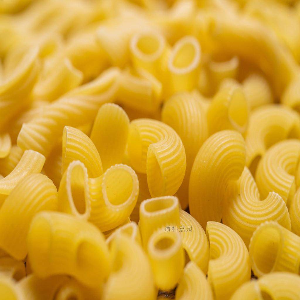 西餐厅大弯形意面意大利面通心粉空心粉意粉儿童单色宝宝面条包邮