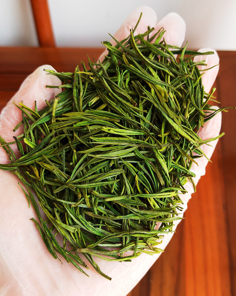现货安吉白茶2022新茶特级正宗原产地湖州溪龙安吉白茶
