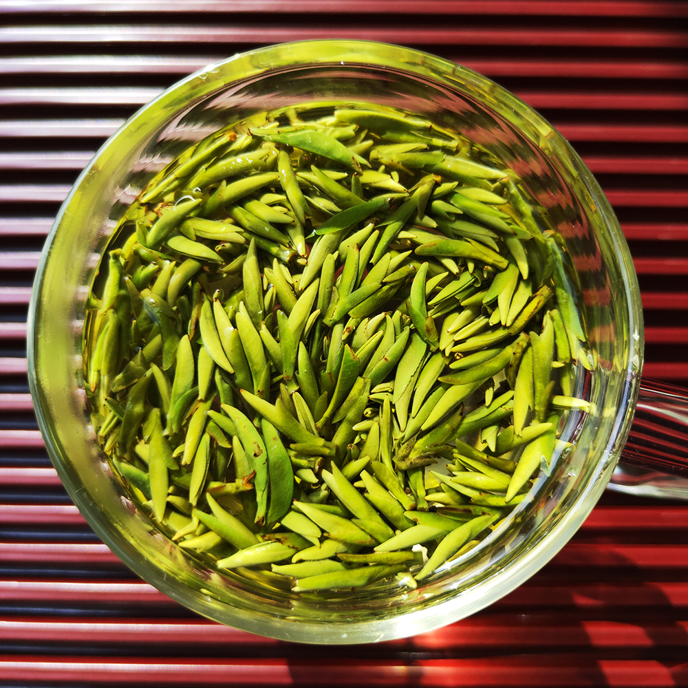 【现货】霍山黄芽2023新茶明前特级头采茶单芽安徽茶叶500g礼盒装-mc