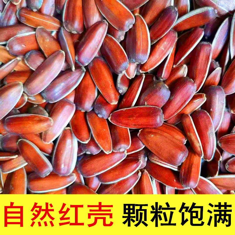 瓜子云南特产红皮颗粒山地葵花籽农家自种原味瓜子