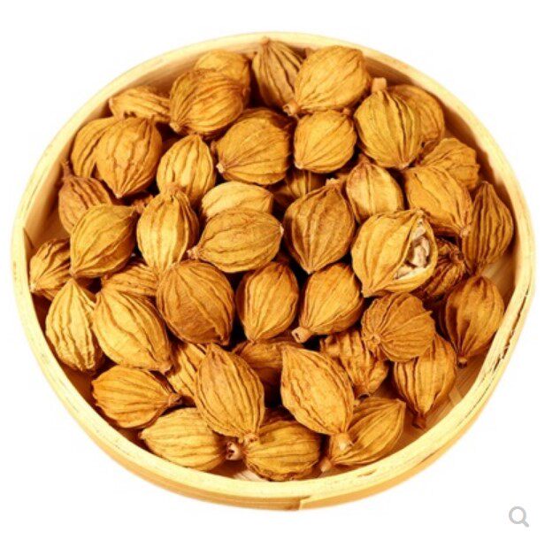 香砂四川金砂仁砂仁火锅炖肉500克卤料调料香料砂仁