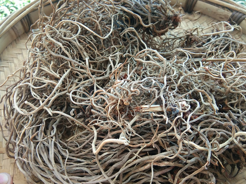 贵州万寿竹山竹倒竹铎草参宝竹叶新货包邮500g其他药食同源食品