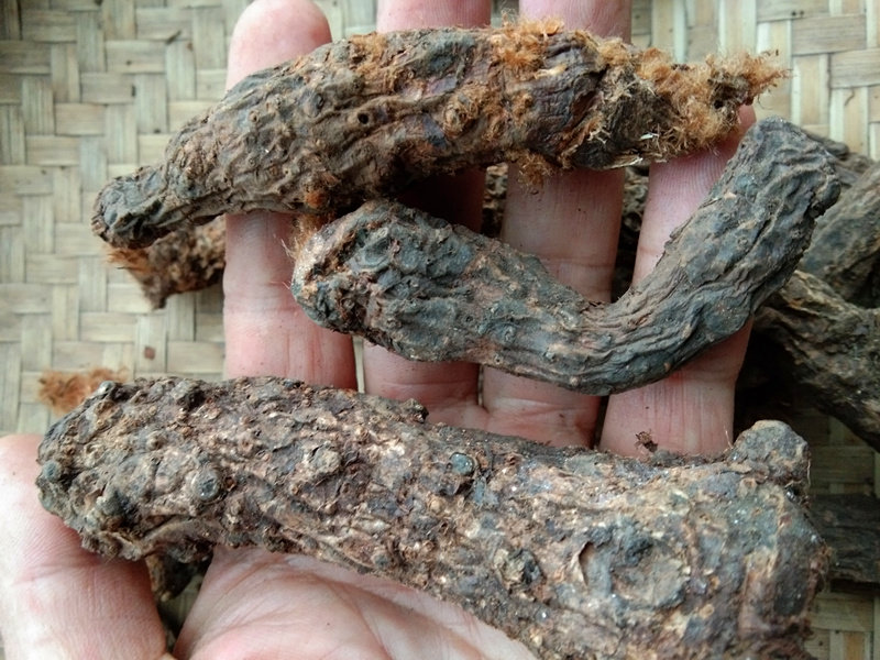 贵州野生干货三七药材草药缸中生毛500g苗药毛其他药食同源食品