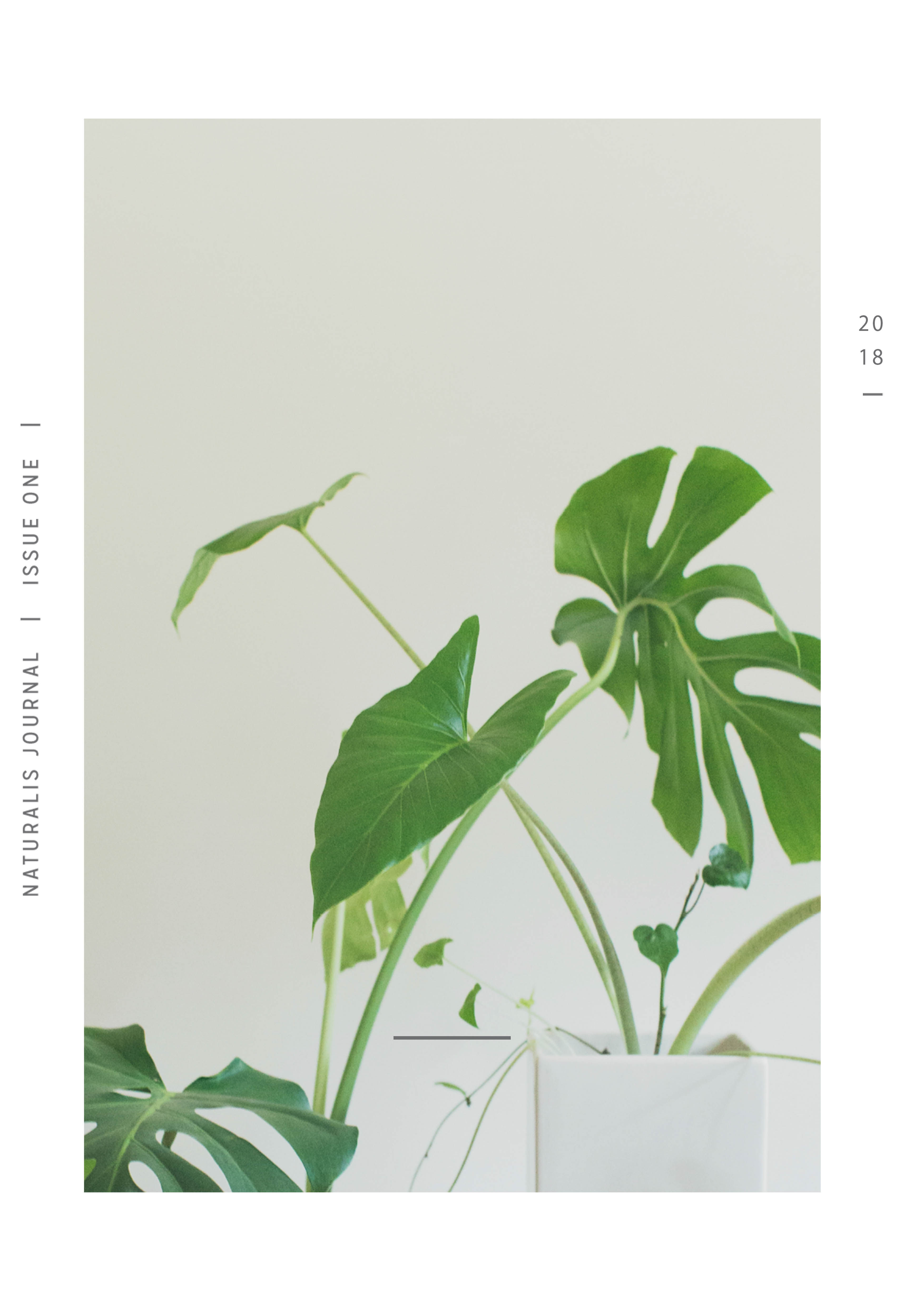 ins装饰画封面杂志拍摄道具拍照照片照片