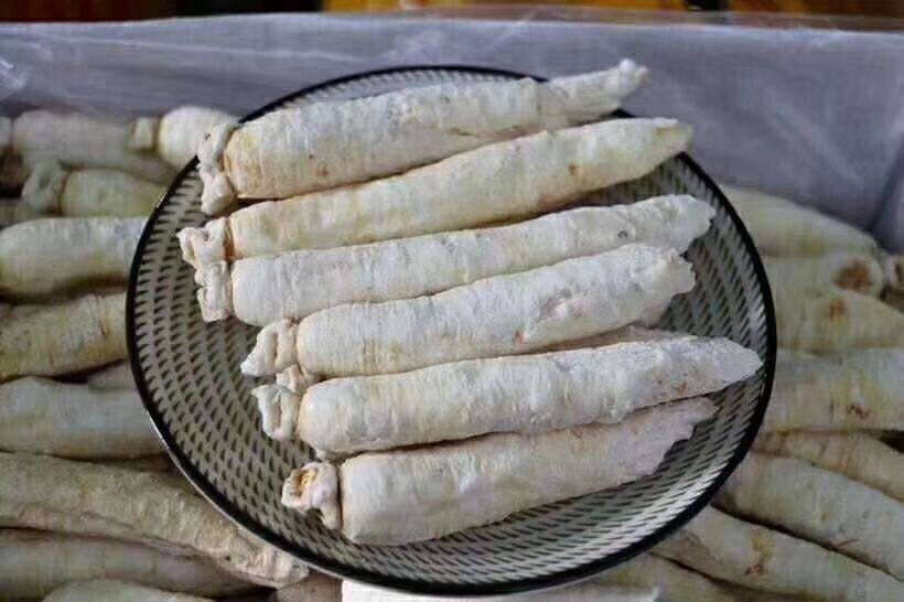 白糖参甜脾胃宝宝常吃糖参移山参糖高丽白高丽人参