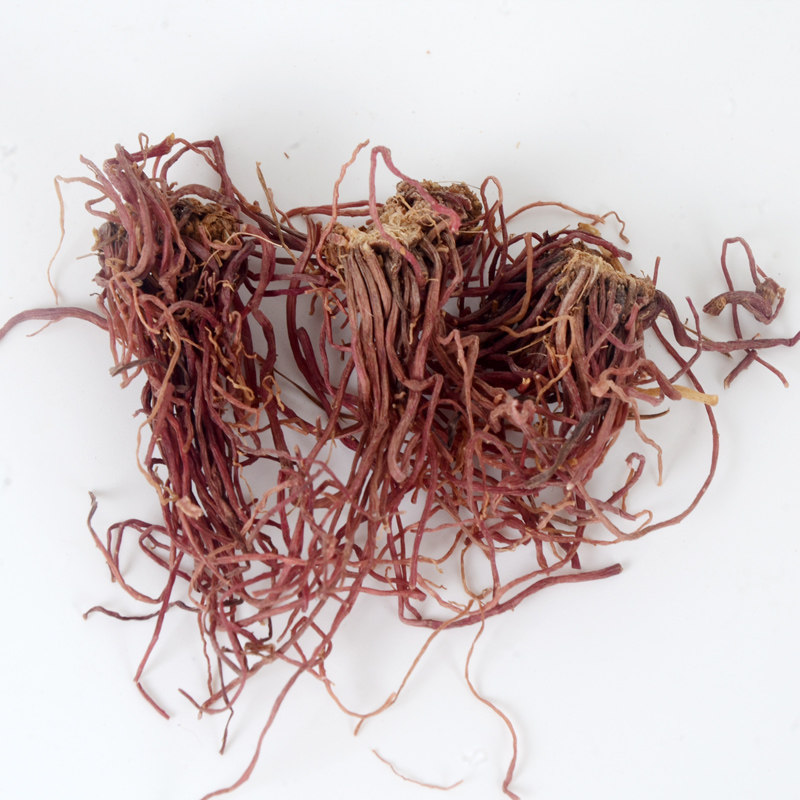 紫苑中药材250g紫菀子菀子苑返魂草根包邮其他药食同源食品