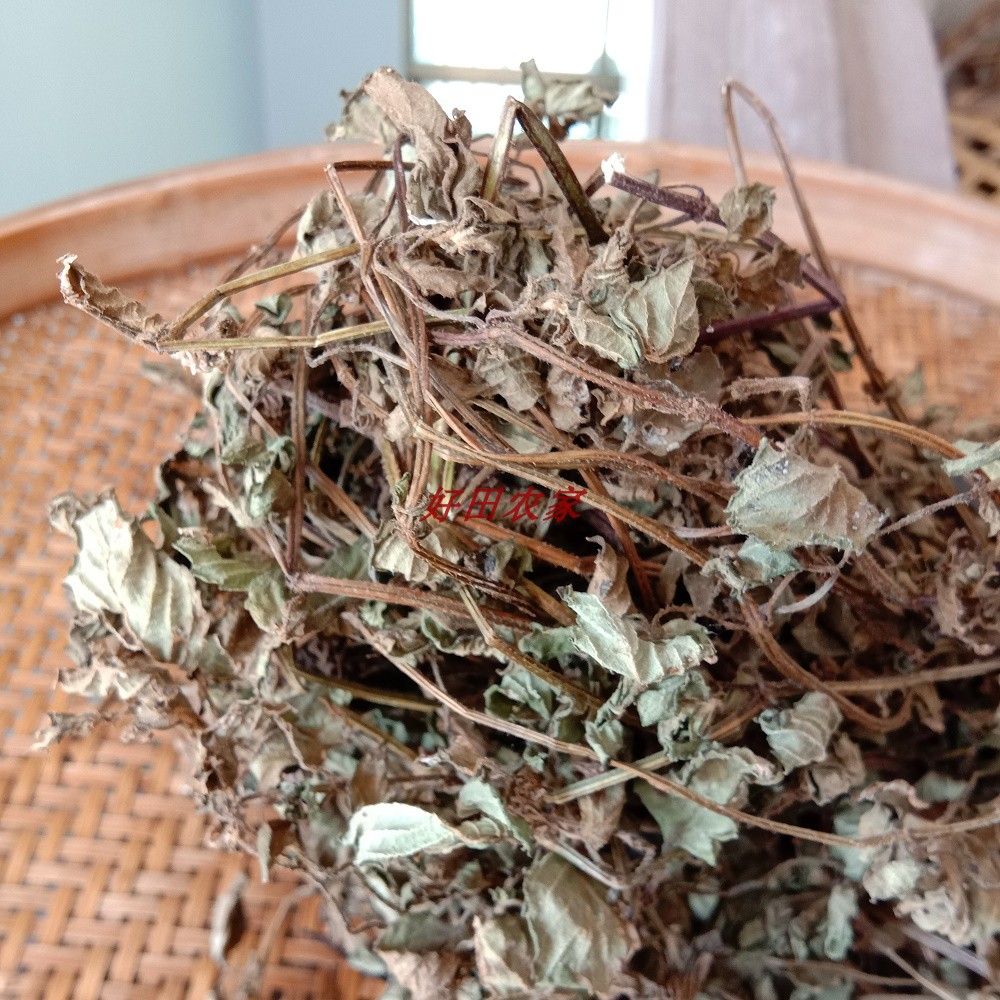 福建仙草干 龟苓膏 仙人草 烧仙草 草药凉粉原料 天然植物3斤包邮