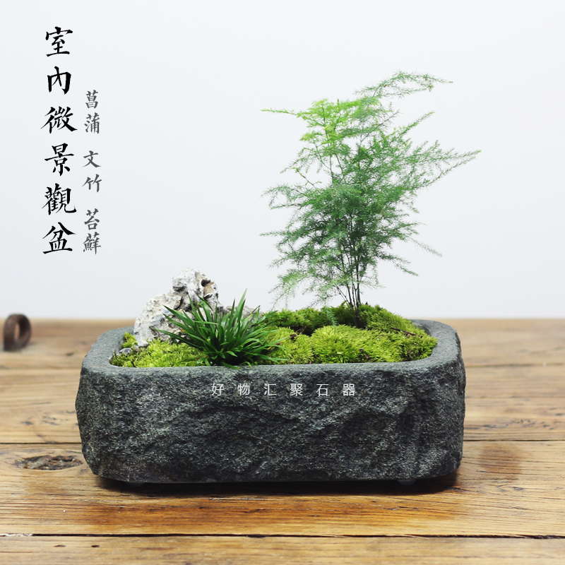 青石石盆景养鱼室内盆景上水花盆石头天然手工花盆