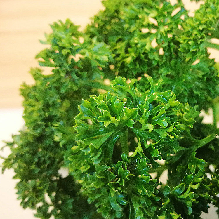 法香 半斤 新鲜番茜荷兰芹 农猫庄园 深圳水果沙拉蔬菜西餐轻食