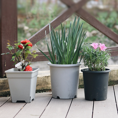 青山控根透气塑料月季铁线种植盆绿加厚圆口树脂加仑花盆功效与作用/