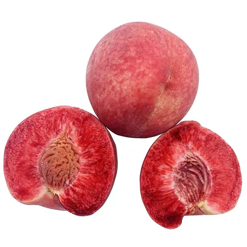 老树血桃应当当季新鲜桃子孕妇水果现摘红肉桃