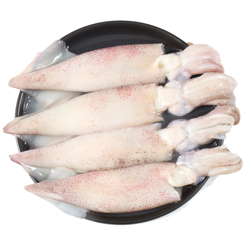 鱿鱼小鱿鱼鲜活冷冻笔管新鲜500g铁板火锅烧烤冷冻鱿鱼